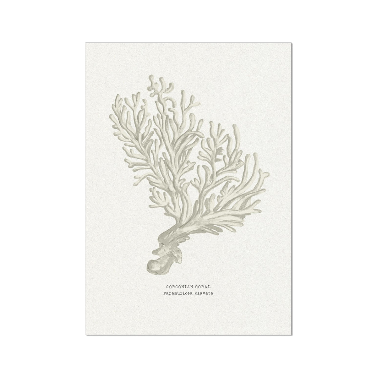 Coral art print with a stylised illustration of a coral branch on a white background