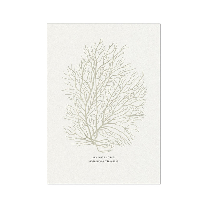 painting of sea whip coral on a white background