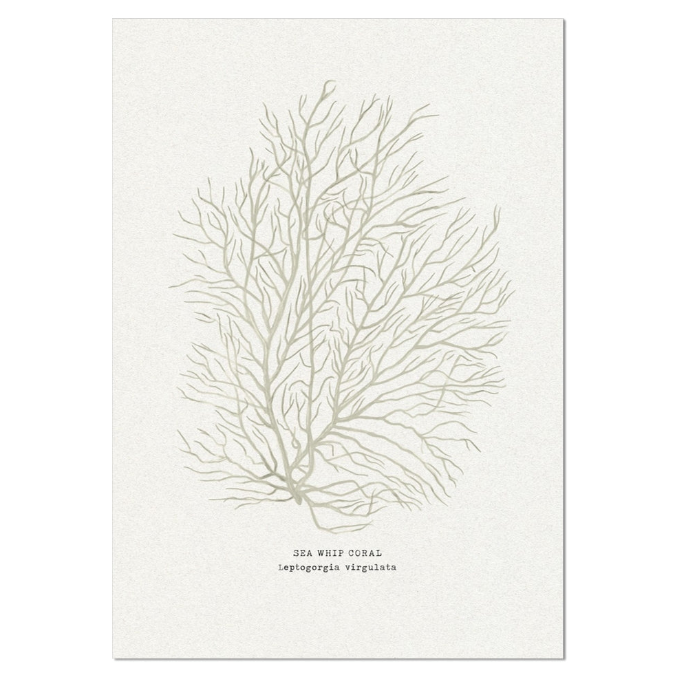 Coral Art Print | Sea Whip In Natural - Unframed