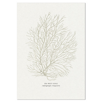 Coral Art Print | Sea Whip In Natural - Unframed