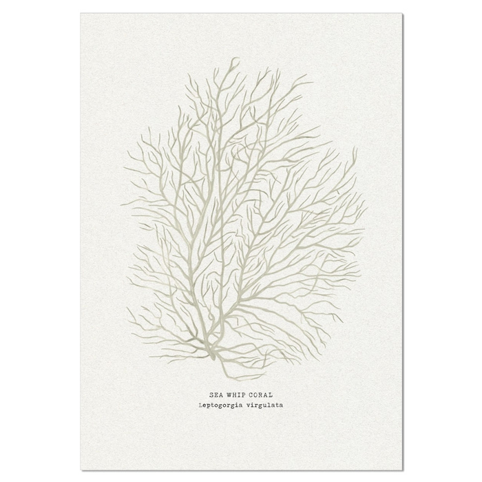 Coral Art Print | Sea Whip In Natural - Unframed