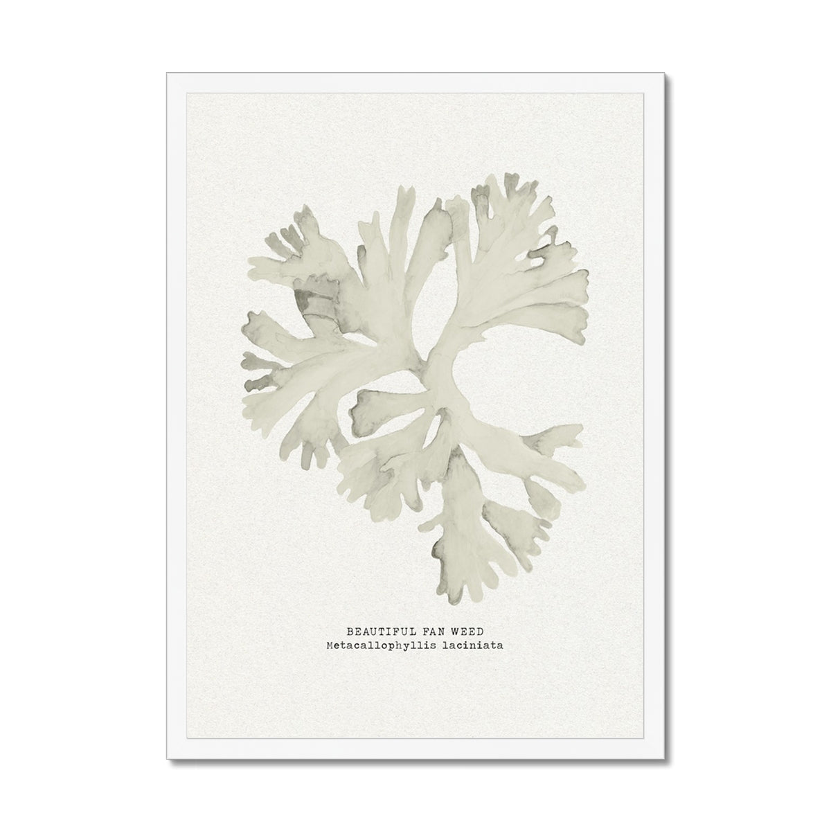 Decorative wall art of a seaweed art print on a white background.