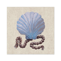 scallop shell painting on vintage paper.