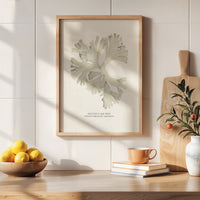 Seaweed Art Print | Fan Weed In Natural - Unframed