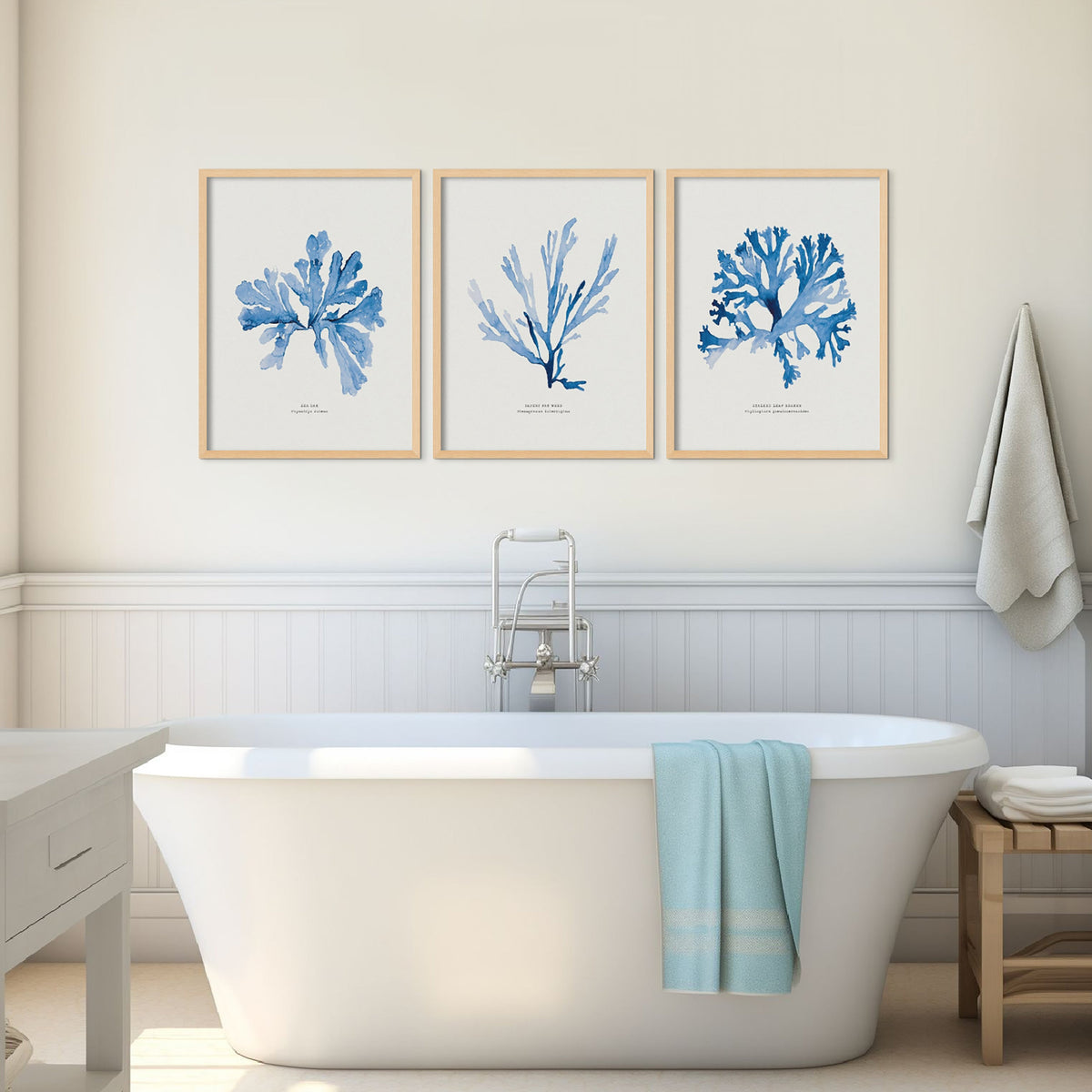 set of three seaweed paintings in bathroom above roll top bath - set of three indigo watercolour seaweed paintings in bathroom