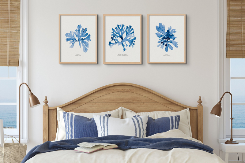 Botanical Bedroom Wall Art - Set of 3 Seaweed Prints above bed - Framed Bedroom Art Prints