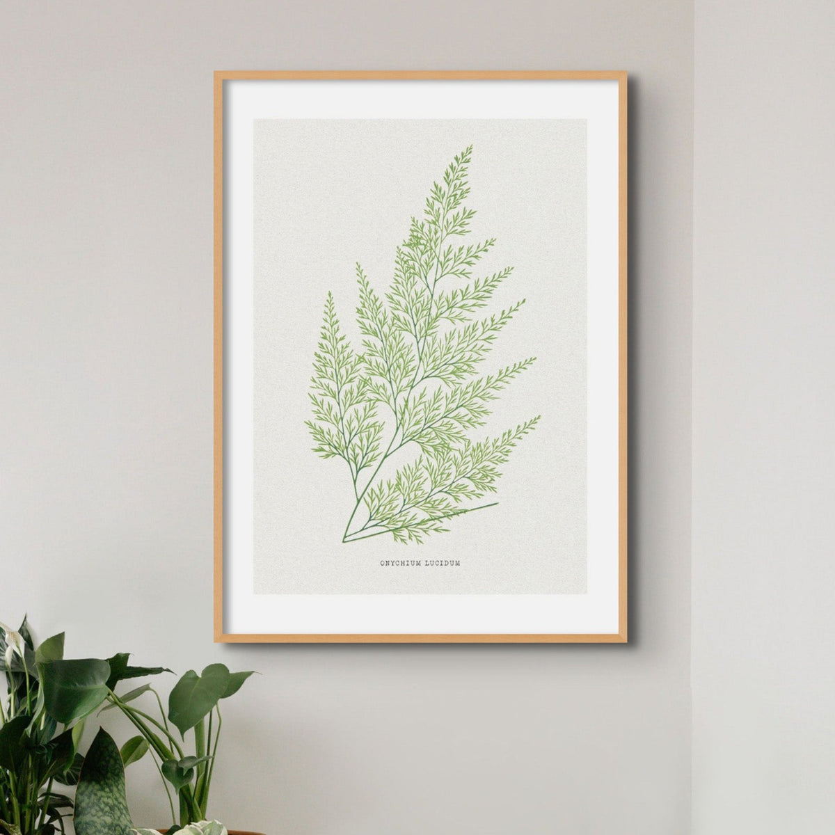 Set of Three Vintage Fern Prints | Group 4 | Vintage Botanical Wall Art - Unframed