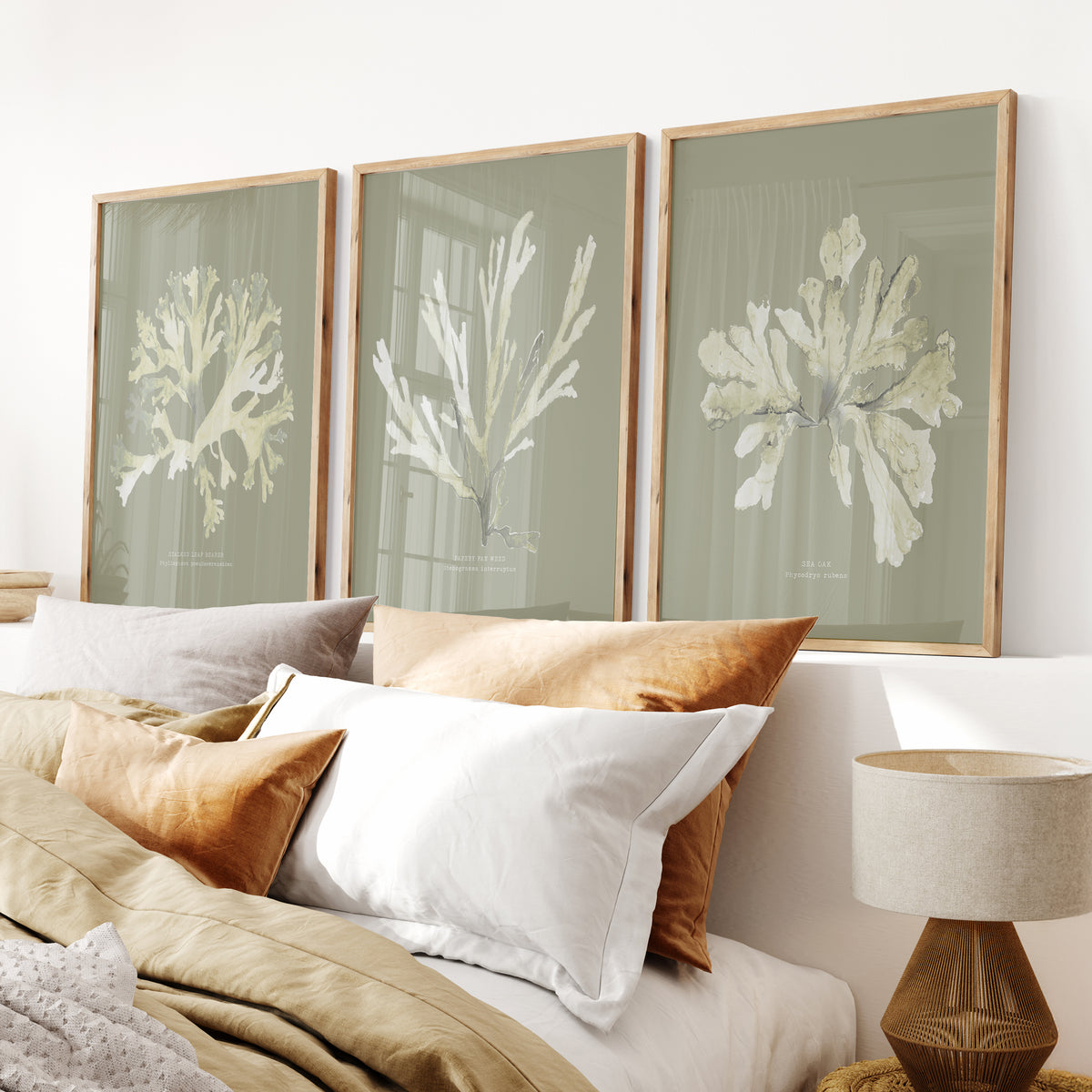 set of three olive green art prints depicting seaweed art prints in bedroom