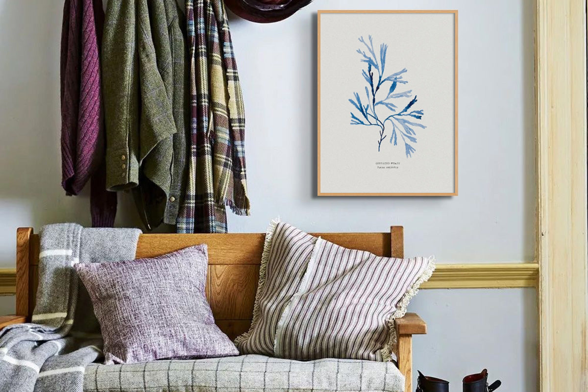 seaweed painting above boot room bench.