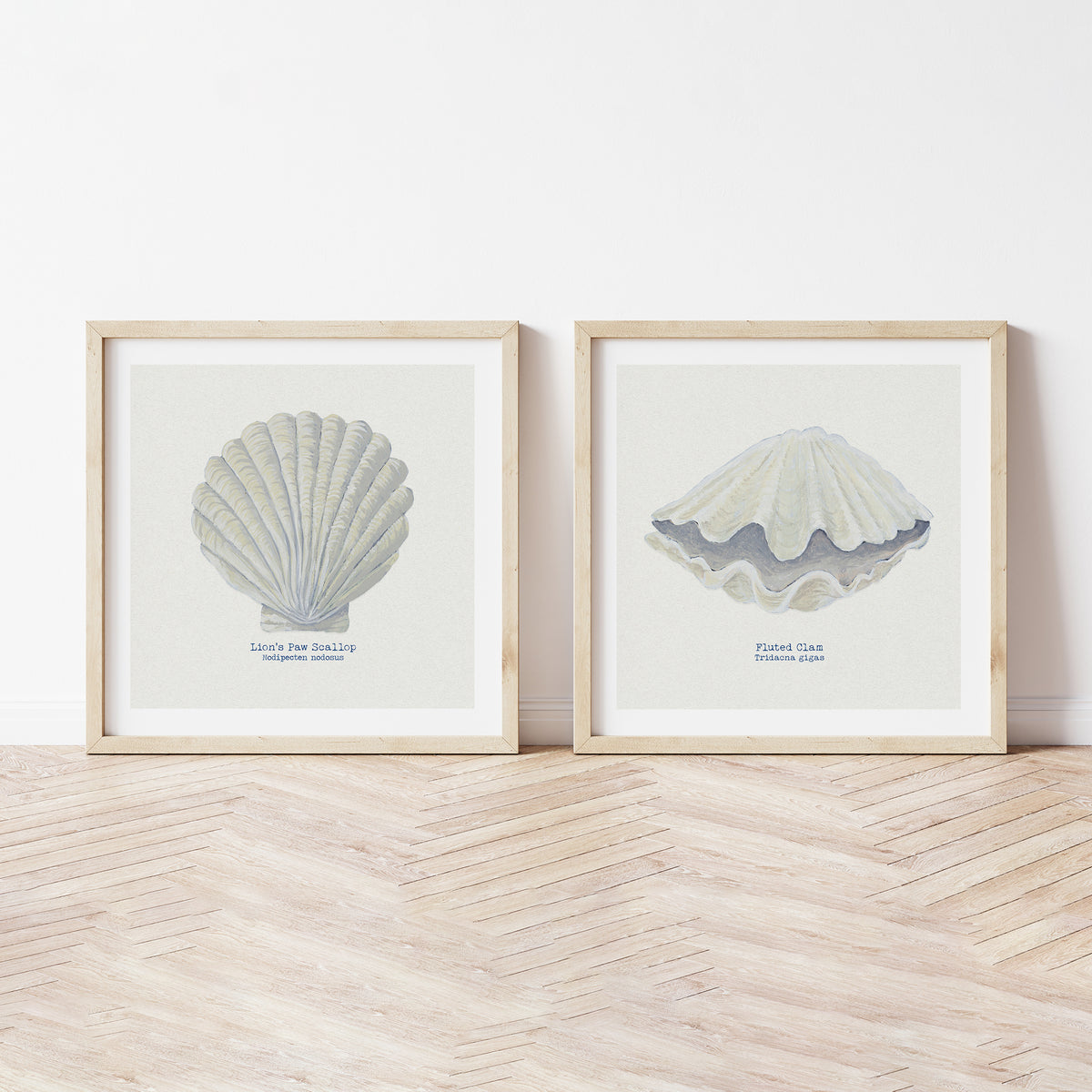 Hand-painted Scallop Shell Art Print | Natural Background - Unframed