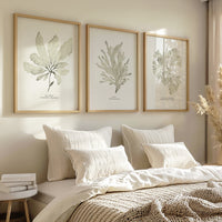 Seaweed Art Print | Dulse In Natural - Unframed