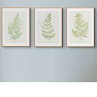 Set of Three Vintage Fern Prints | Group 4 | Vintage Botanical Wall Art - Unframed