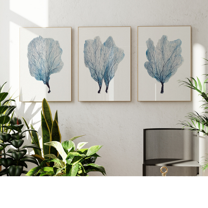 Set of Three Coral Art Prints | Set of coral paintings  - Unframed