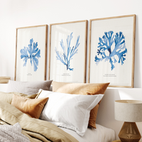 Set of 3 Indigo Seaweed Paintings - Unframed Beach House Art set of blue abstract line art prints