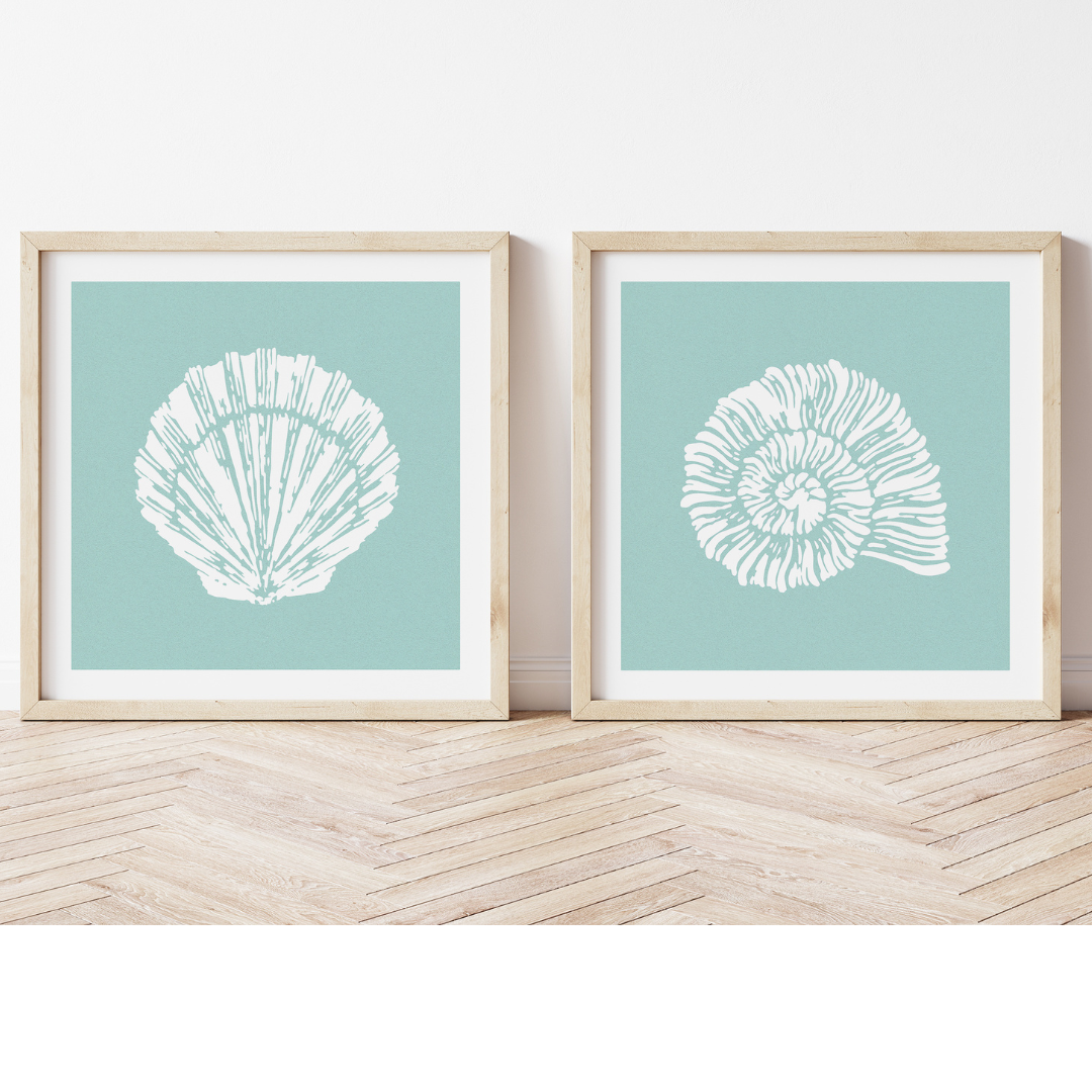 Set of Two Shell Prints | Set of two square shell prints on textured blue background