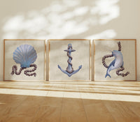 Three framed artworks of a shell, anchor, and dolphin on a wall with sunlight casting shadows.