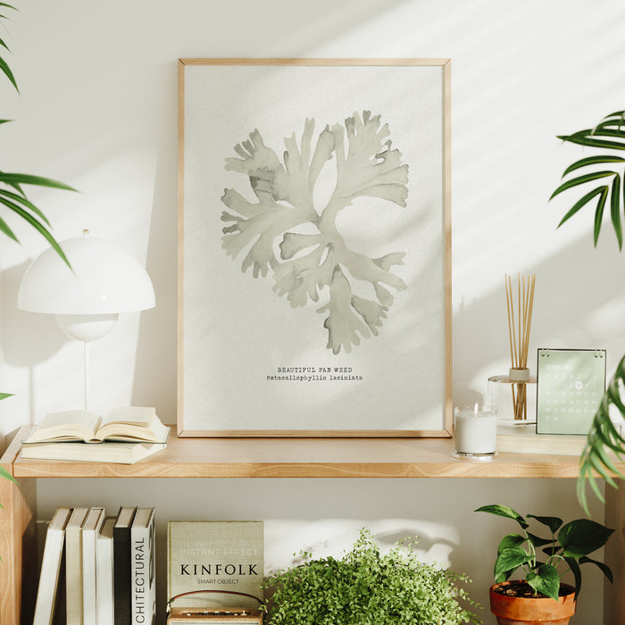 Seaweed Art Print | Fan Weed In Natural - Unframed
