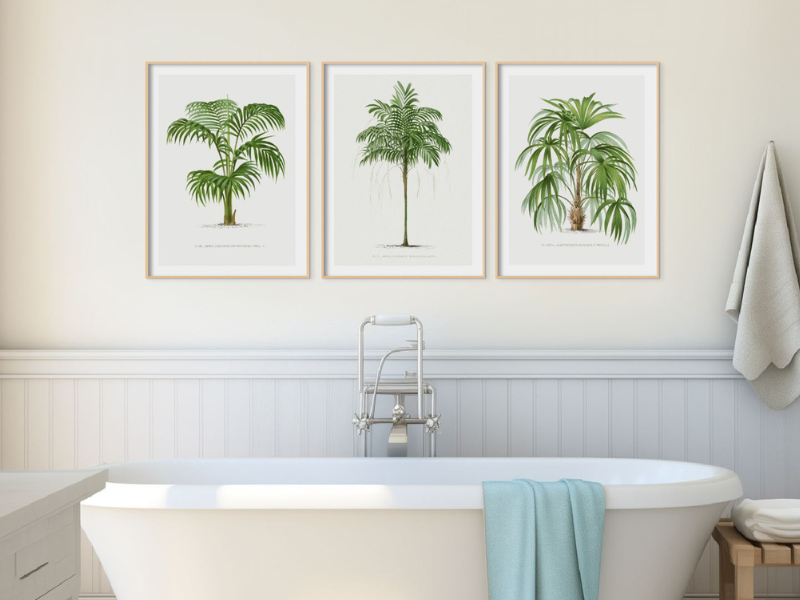 bathroom wall art - set of three vintage art prints above roll top bath - coastal art for bathroom