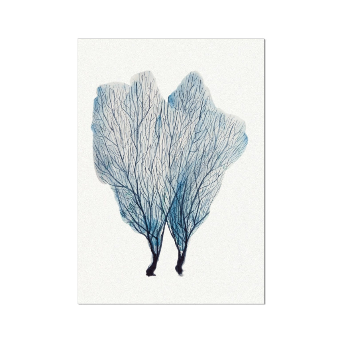 Sea Fan Watercolour Coral Painting | Coral Art | No 1 - Unframed