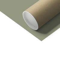 Set of Three Green & Olive Seaweed Prints - Unframed
