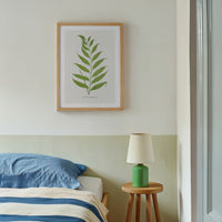 vintage fern print framed on wall above bed - vintage botanical fern art print