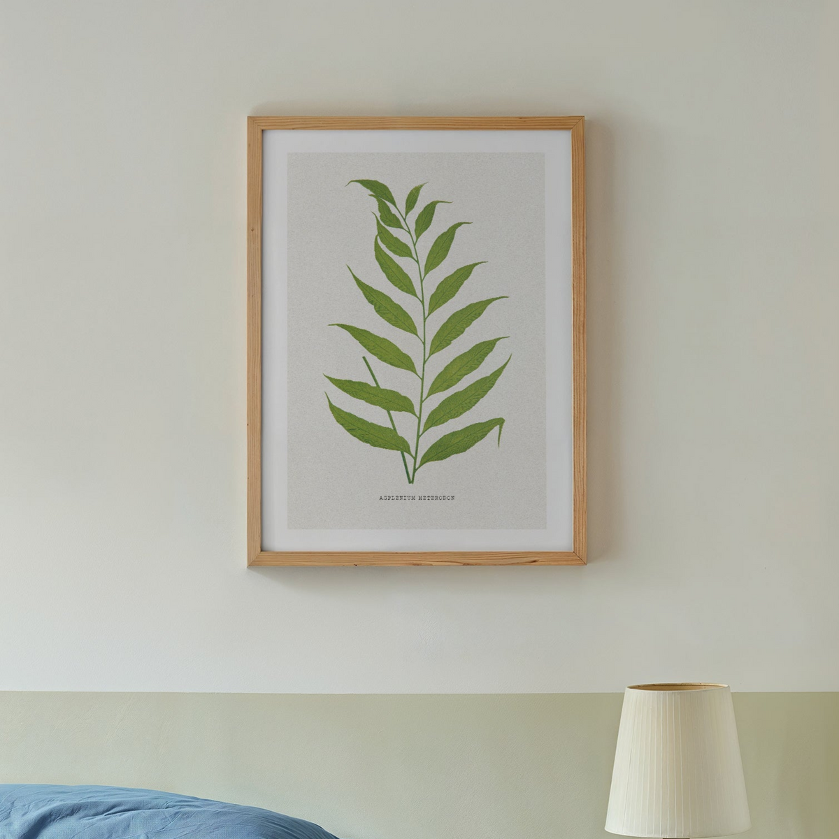 vintage fern print framed on wall above bed - vintage botanical fern art print
