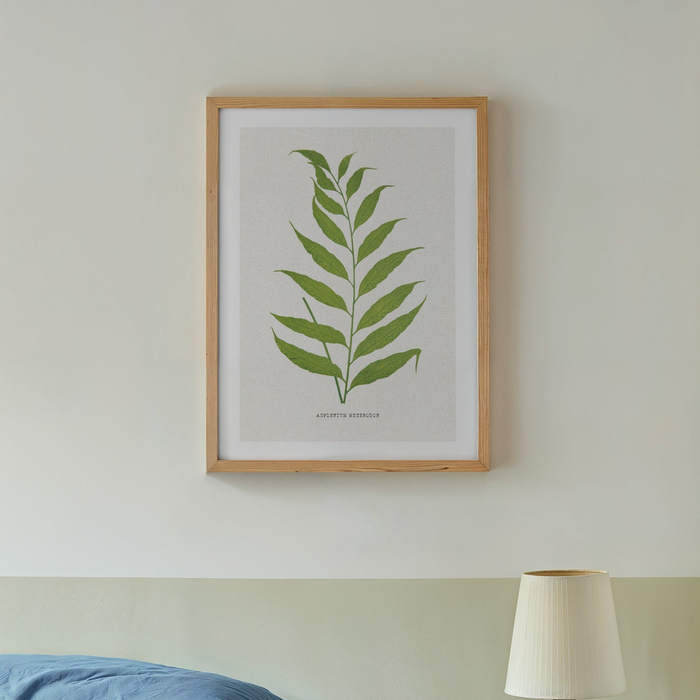 vintage fern print framed on wall above bed - vintage botanical fern art print