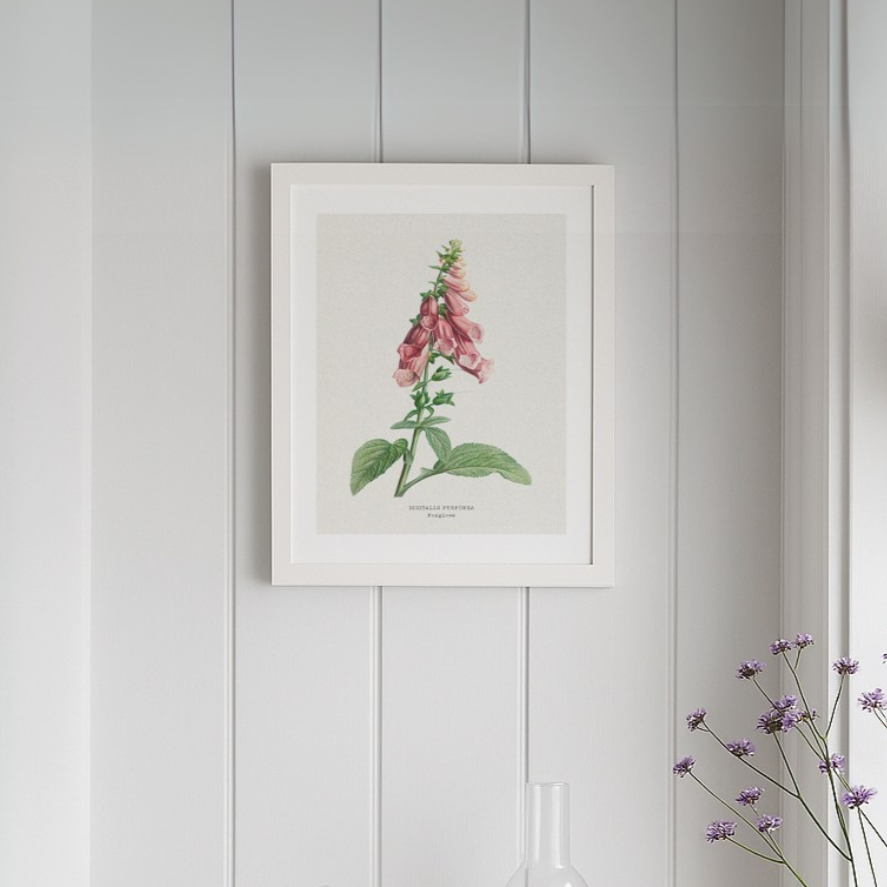 Foxglove Painting | Vintage Flower Print | Botanical Art - Unframed