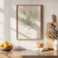 Seaweed Art Print | Sea Beech In Natural - Unframed