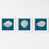 Hand-painted Cowrie Shell Art Print | Marine Blue Background - Unframed