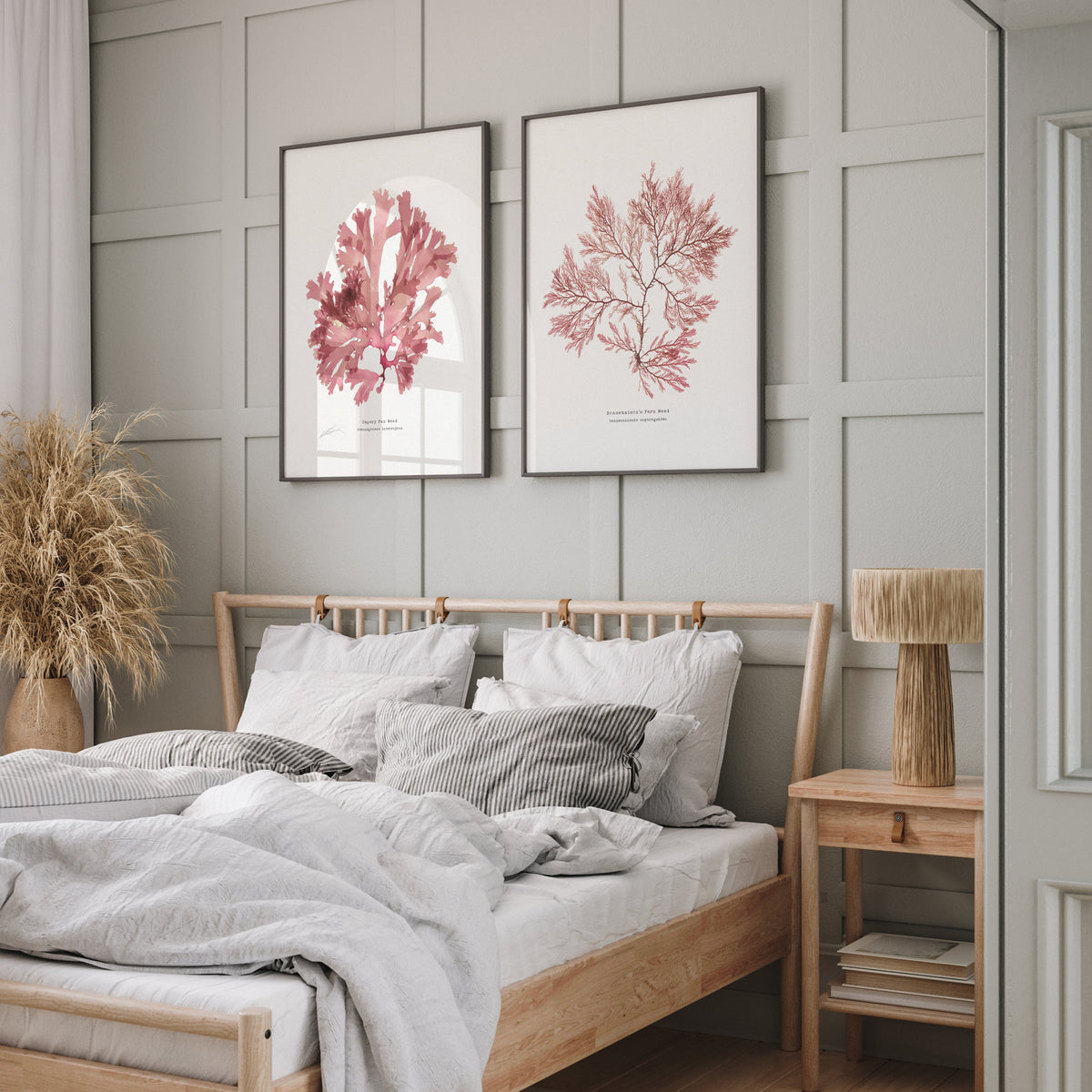 set of two pressed seaweed prints on wall in bedroom above wooden loaf bed. Set offramed seaweed prints on panelled wall.