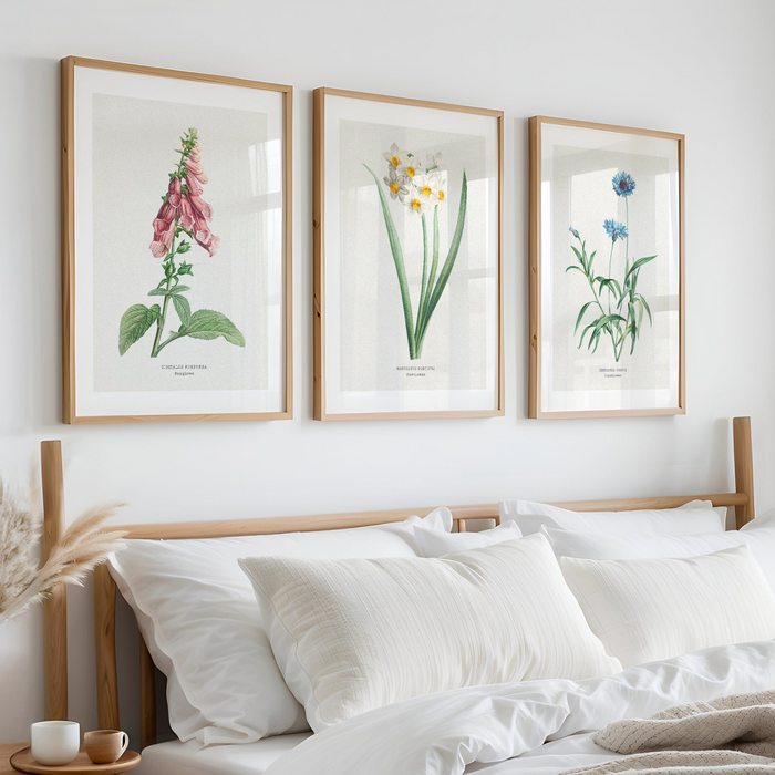 set of vintage botanical art prints on wall above bed - vintage flower prints