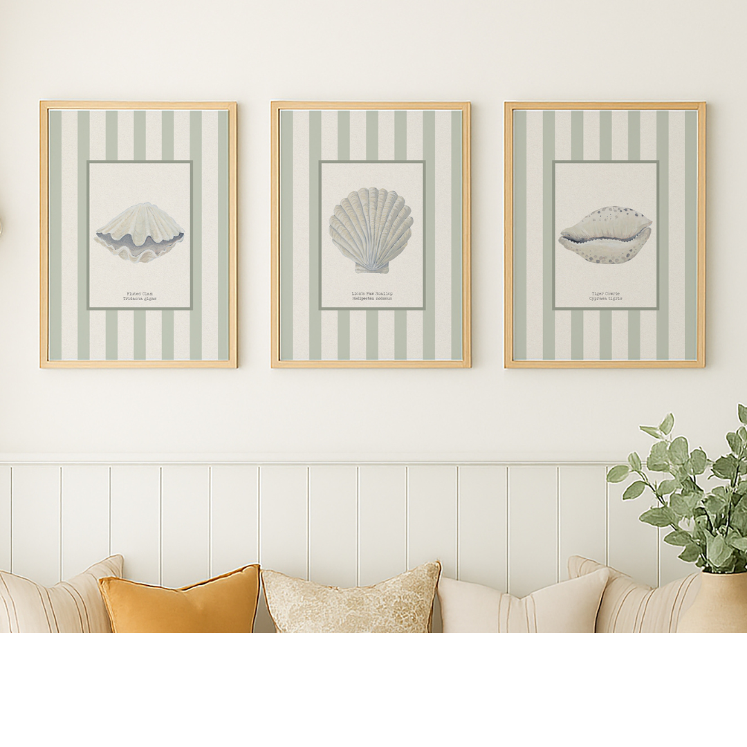 Set of three Shell prints on green stripe - Unframed