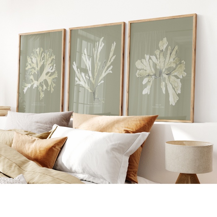 A set of three framed art prints featuring green and olive seaweed patterns, displayed above a sofa in a cozy living room setting.