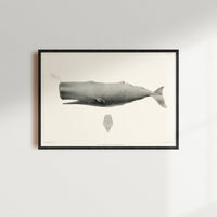 Vintage Whale Print | Sperm Whale Art - Unframed