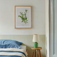 vintage flower paitning on wall in bedroom - vintage silverbush botanical art print framed with natural wood frame on wall above bedorom