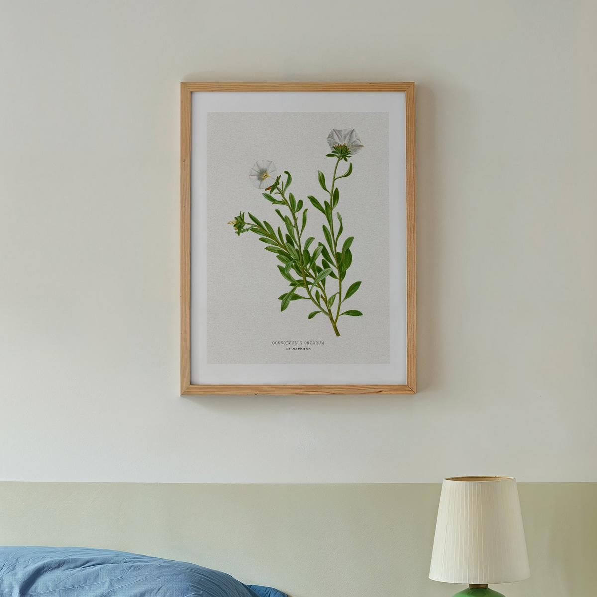 vintage flower paitning on wall in bedroom - vintage silverbush botanical art print framed with natural wood frame on wall above bedorom