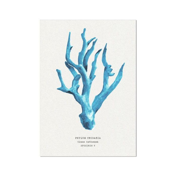 Set of three coral art prints - coral paintings as a set framed in natural frame above a bed.