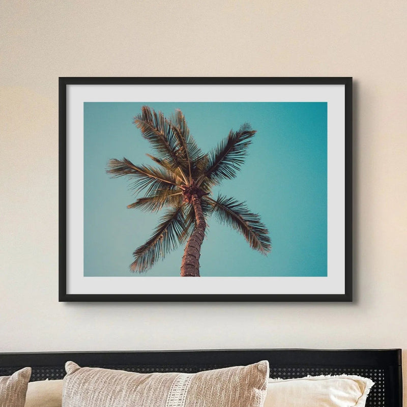Aqua Palm Tree Print Palm Tree Photography Framed