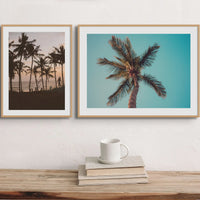 set of two palm tree photographs in natural frames above a wood side table - beach house art