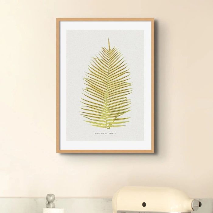 Blechnum Orientale | Fern Print | Botanical Art - Unframed