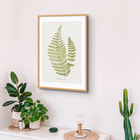 Cheilanthes Hirta | Fern Print | Botanical Art - Framed