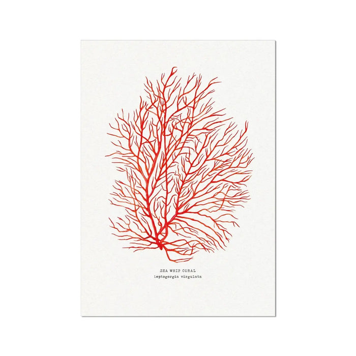 hand painted coral art print in a deep coral colour on paper - unframed wall art