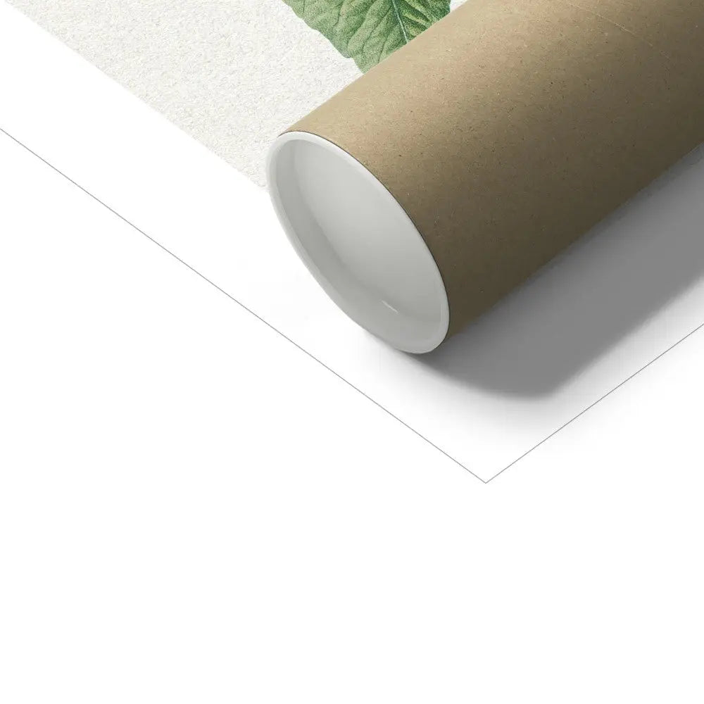 Foxglove Flower Painting | Vintage Flower Print | Botanical Art - Unframed Wall Art