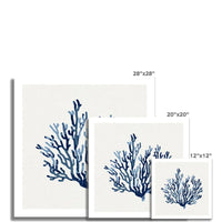 This lovely piece of artwork features a stunning indigo coral print perfect for adding a touch of beauty to any coral-themed room. The artwork is unframed, allowing for customisation to fit your decor needs.