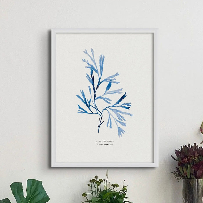 Indigo Seaweed Print Wall Art (Serrated Wrack) - Framed - Beach House Art