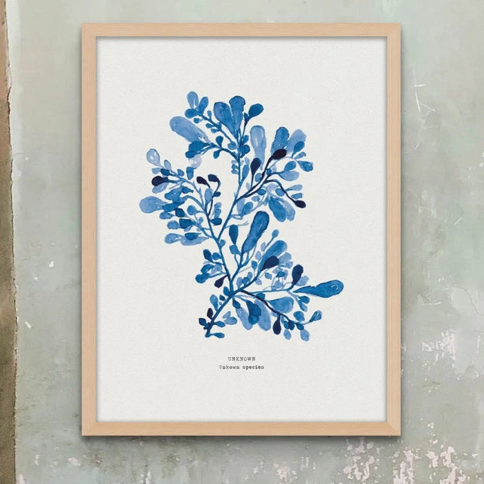 Beach-inspired wall art featuring a framed watercolour print of indigo seaweed wall art