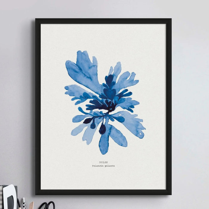 Indigo Seaweed Print Wall Art (Dulse No.1) - Framed - Beach House Art