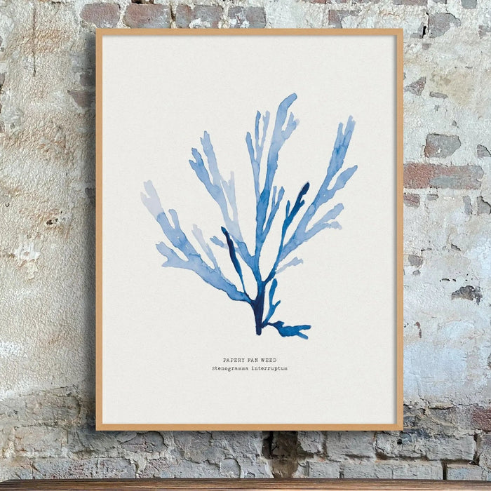 Indigo Seaweed Print Wall Art (Papery Fan Weed) - Framed - Beach House Art