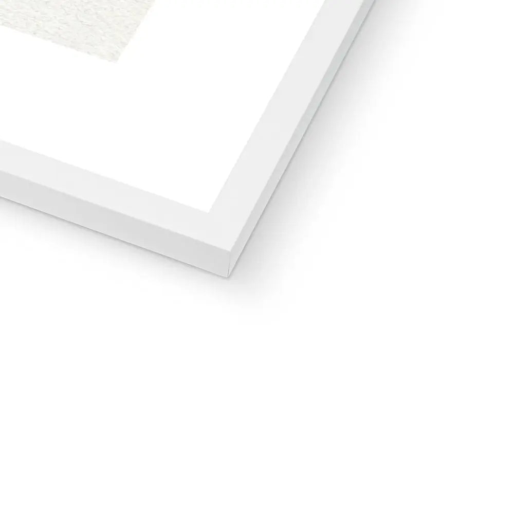 Ixia Phlogiflora | Vintage Flower Print | Botanical Art - Framed